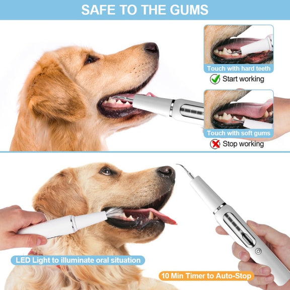 Pet Ultrasonic Teeth Cleaner Dog Electric Teeth Cleaning Tool Home Dentistry Tartar Remover(White)