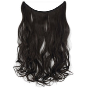 Fishing Line Hair Curtain Long Curly Wig Seamless Hair Extension(4A)
