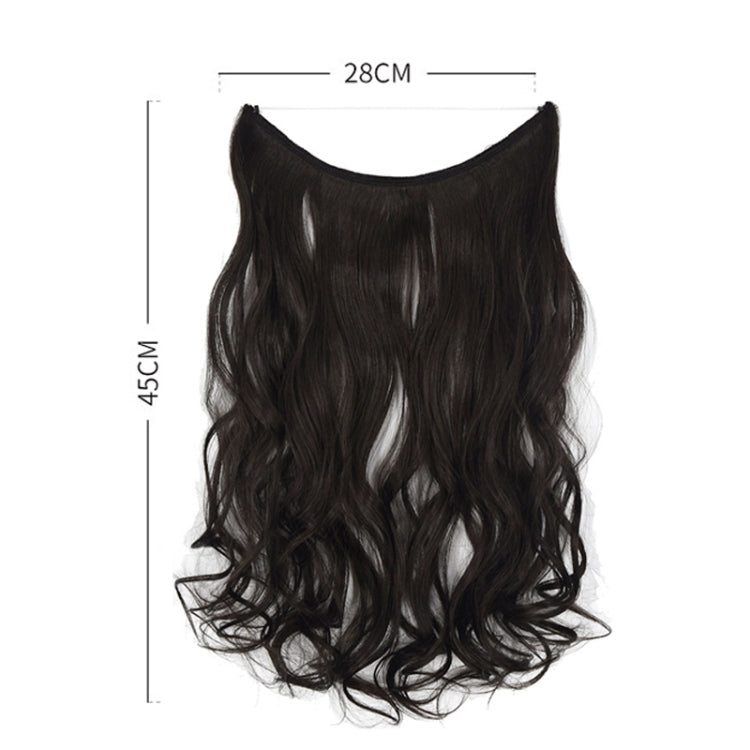 Fishing Line Hair Curtain Long Curly Wig Seamless Hair Extension(2)