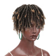 Personalized Hollow Curl Hip Hop Short Hair Dirty Braid Wig Blocks, Model: 1BT27 - free shipping - PMC TechLife - Order now!