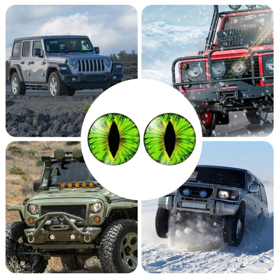 1pair Beast Eyes Headlight Decorative Stickers Off-Road Vehicle Front Lights Stereo Decals, Style: 6