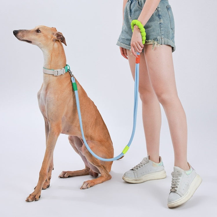 Explosion-Proof  Two-Stage Dog Leash With Foam Handle For Medium And Large Dogs(Sea Mist Blue) - Leashes & Chest Strap by PMC TechLife | Online Shopping South Africa | PMC TechLife | Buy Now Pay Later Mobicred