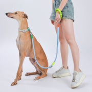 Explosion-Proof  Two-Stage Dog Leash With Foam Handle For Medium And Large Dogs(Black Currant)