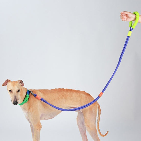 Explosion-Proof  Two-Stage Dog Leash With Foam Handle For Medium And Large Dogs(Black Currant)