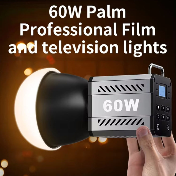 Desiontal ZU-60 60W Hand-Held Camera Light High Power Fill Light, EU Plug, Spec: Standard - free shipping - PMC Jewellery - Order now!