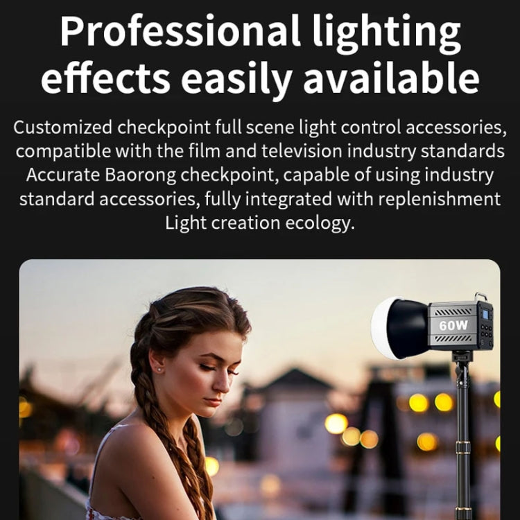 Desiontal ZU-60 60W Hand-Held Camera Light High Power Fill Light, EU Plug, Spec: Standard - free shipping - PMC Jewellery - Order now!