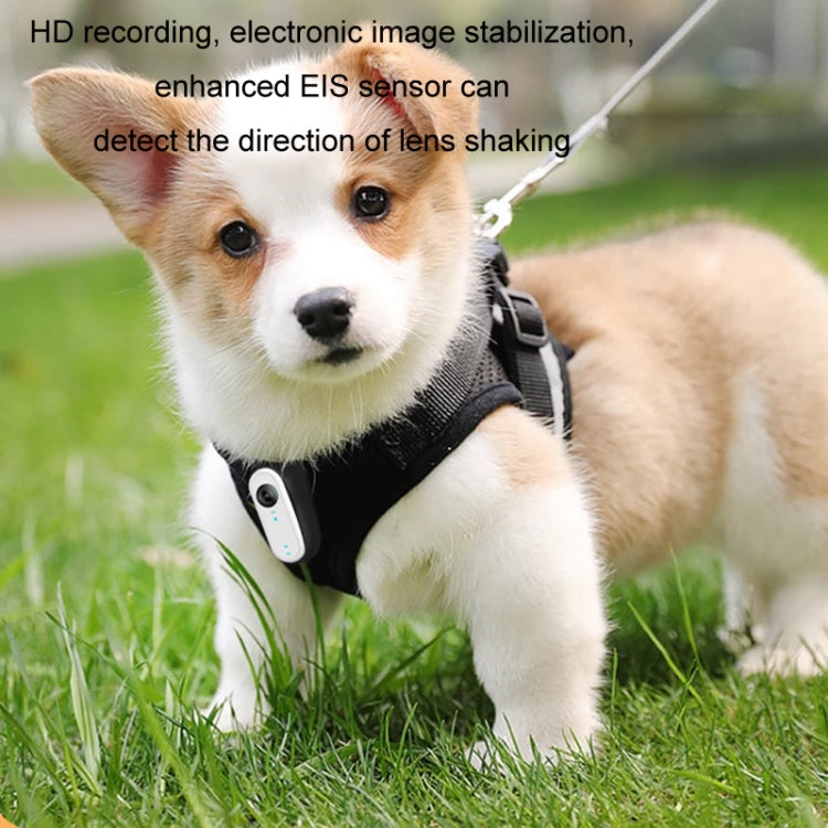 HD Outdoor Portable Pet Recorder Cycling Sports Camera, Specifications: No TF Card