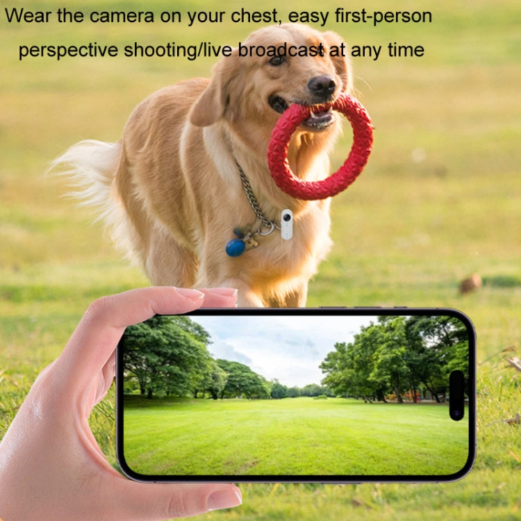 HD Outdoor Portable Pet Recorder Cycling Sports Camera, Specifications: With Silicone Collar