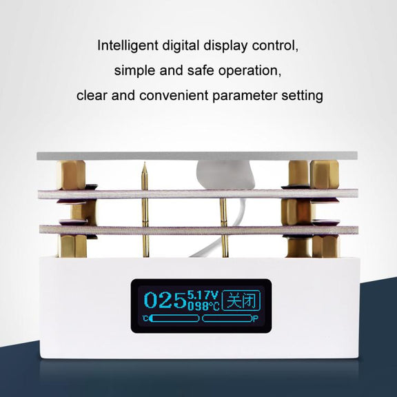 LCD Intelligent Temperature Control Screen Displays Double-Layer Heating Plate(ZFX-G3061)