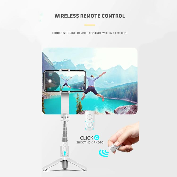 L09 Mini Handheld Folding Anti-shake Stabilizer Bluetooth Beauty Fill Light Selfie Stick(Black)