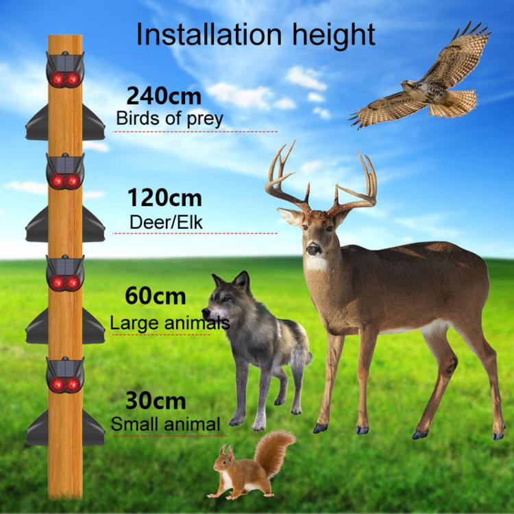 TBD06057221_B4.jpg@e886a2bc40c334f5eb4d96431cef024e