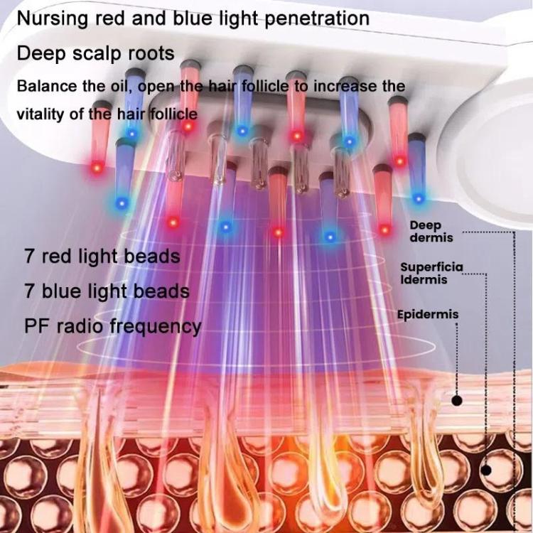 Hair Oil Applicator Roller Ball Red / Blue Light Electric Massage Comb Hair Regrowth Conductive Comb(Black)