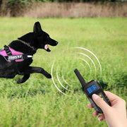 T720 1000m Pet Intelligent Electric Shock Remote Control Dog Training Device(Yellow)
