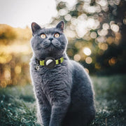 For AirTag Tracker Silicone Case Rainbow Gradient Pet Cat Collar With Bell(Gradient Yellow)