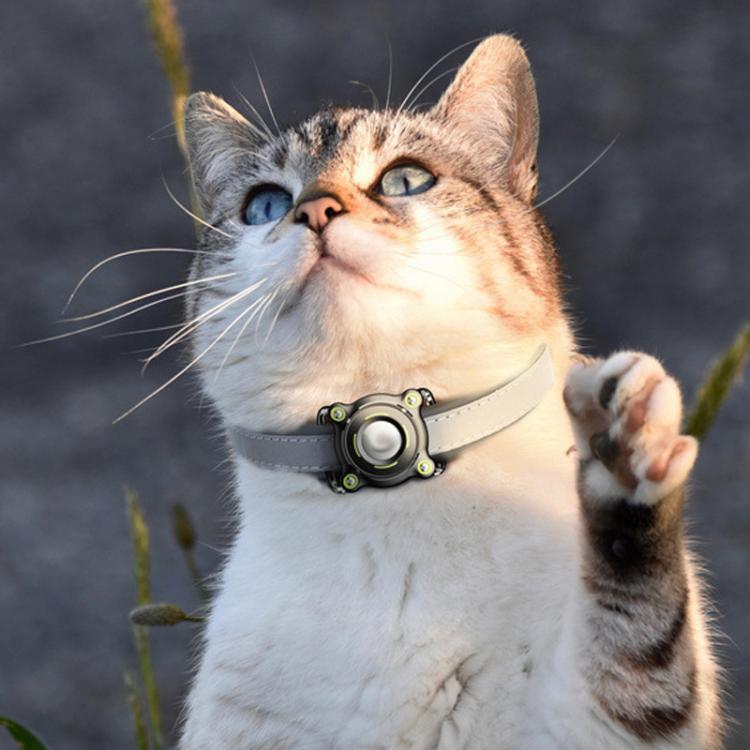 For AirTag Tracker Waterproof Protective Case Puppy Kitten Collar Metal Buckle Model Protective Cover(Black+Green PC) - Other by PMC TechLife | Online Shopping South Africa | PMC TechLife | Buy Now Pay Later Mobicred