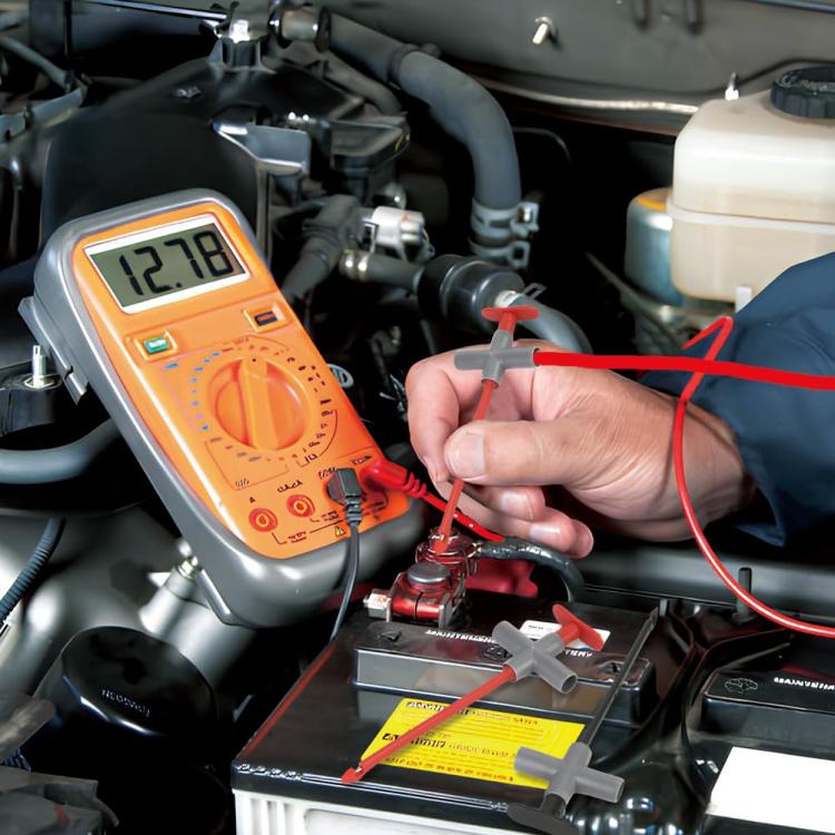 TBD06058672_B6.jpg@79968b1ac5a252a18f1946458762c1c3