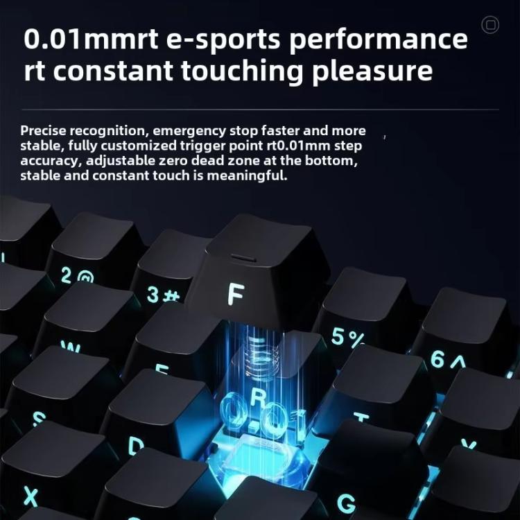 TBD06058894_B5.jpg@67cfd1c6ef5bf7cc57202355865f3cd2