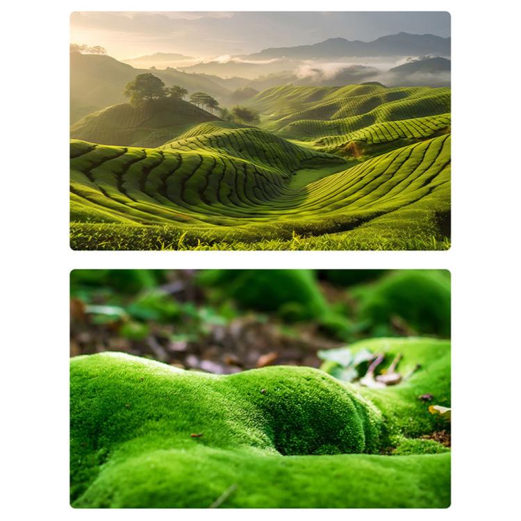 TBD0605948801D.jpg@608fcf02d49e917df3f86e9cf8c59e4d