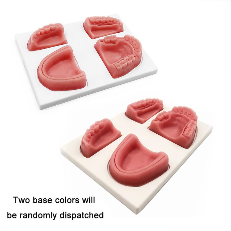 Gums Multiple Wounds Silicone Suture Practice Mold Four Teeth Oral Surgery Training Module For Medical Students