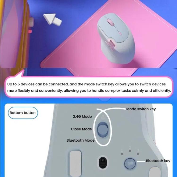 TBD06060585_B4.jpg@afa833e2a1873e931aac71400e039b5c