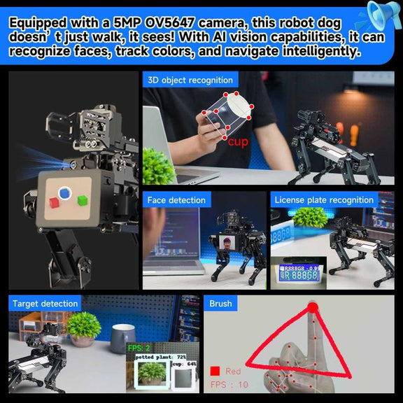 TBD06060703_4.jpg@dc519feefbc739f292f2d6e1261446cf