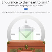SDRD Wooden Box Karaoke Machine With Wireless Dual Mics All-In-One Speaker System Supports U Disk/TF Card(Black)