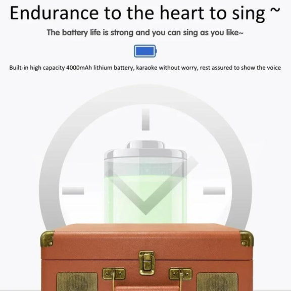 SDRD Wooden Box Karaoke Machine With Wireless Dual Mics All-In-One Speaker System Supports U Disk/TF Card(Black)