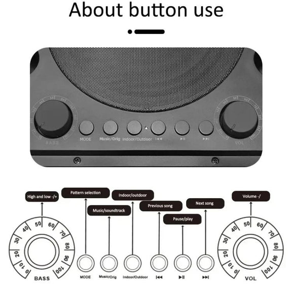 SDRD Wooden Box Karaoke Machine With Wireless Dual Mics All-In-One Speaker System Supports U Disk/TF Card(Black)