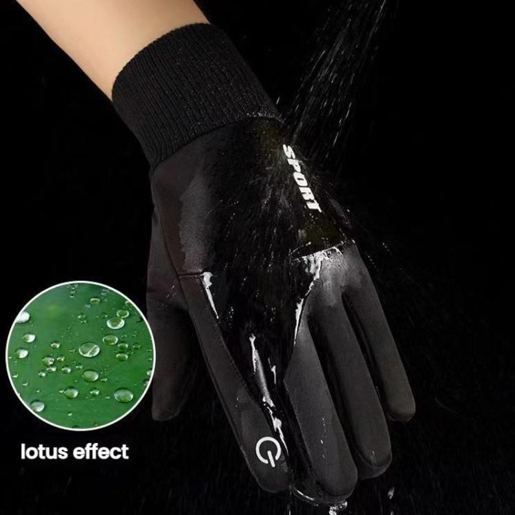 TBD06061330_B6.jpg@7ca4b6ad364eef9652b6e2887d351008