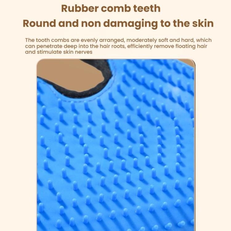 TBD06061750_B3.jpg@9f4dfe6ede661266876be4570d040e34