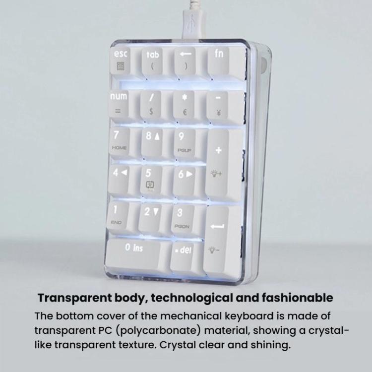 TBD06062704_8.jpg@c833bcec51779901eae33e934e8686e8