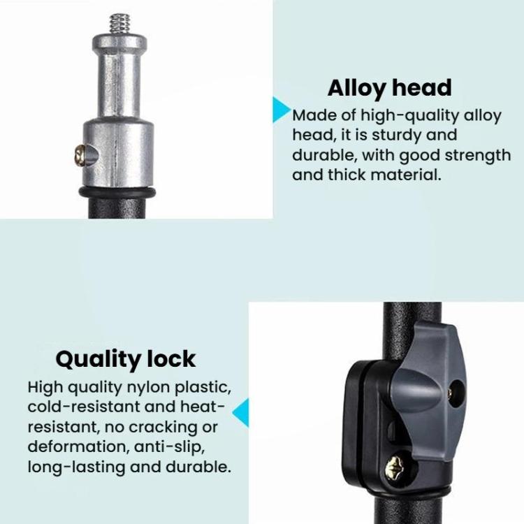 TBD06063078_B7.jpg@5546c9f67ae06e3aa24bf99199d8726f