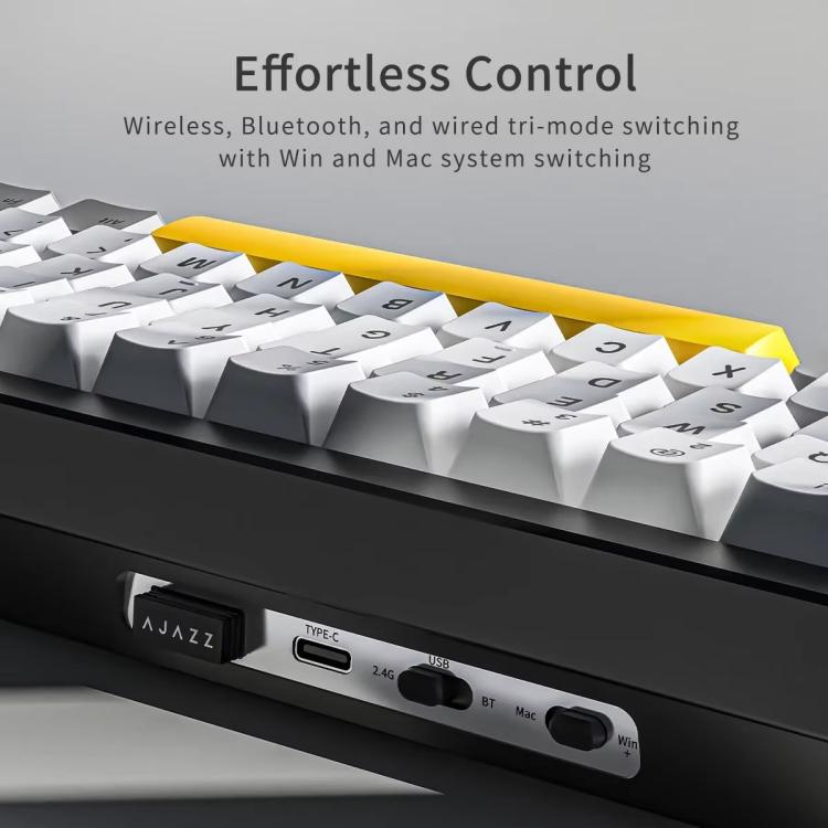 TBD06063333_B6.jpg@62a54b70415fd5524e981ff83393c42b