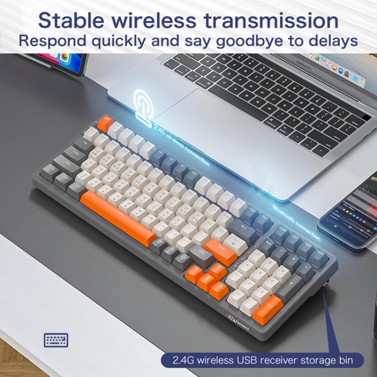 TBD06065429_B5.jpg@5ddf9557b1e531fb8d531090ebfc81d9