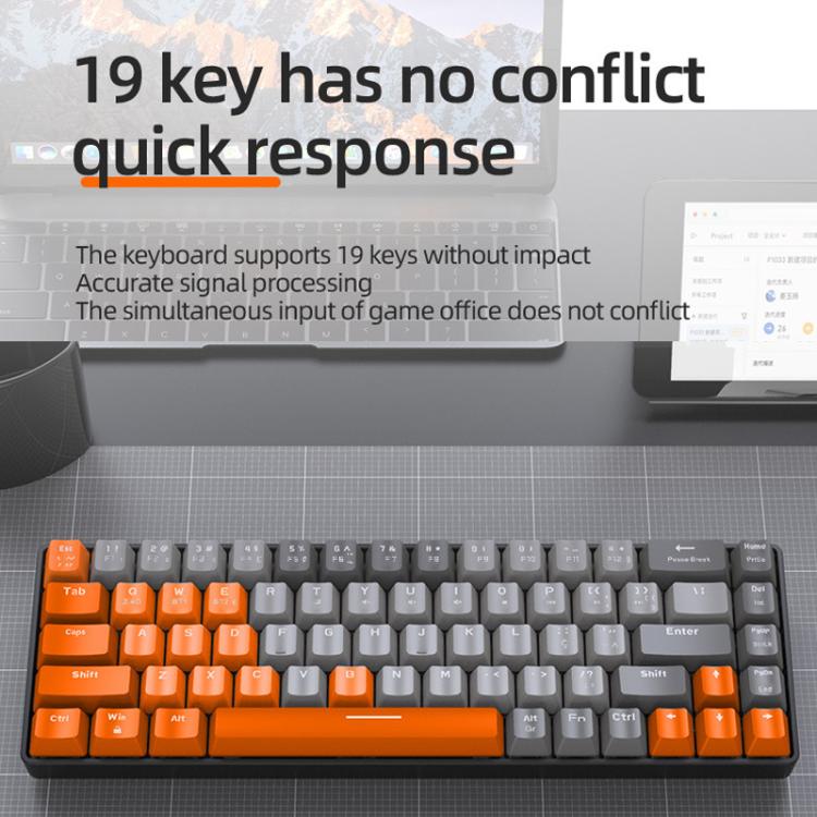 TBD06065437_B3.jpg@8aa996ed23e8c4457a4952332c2e29b4