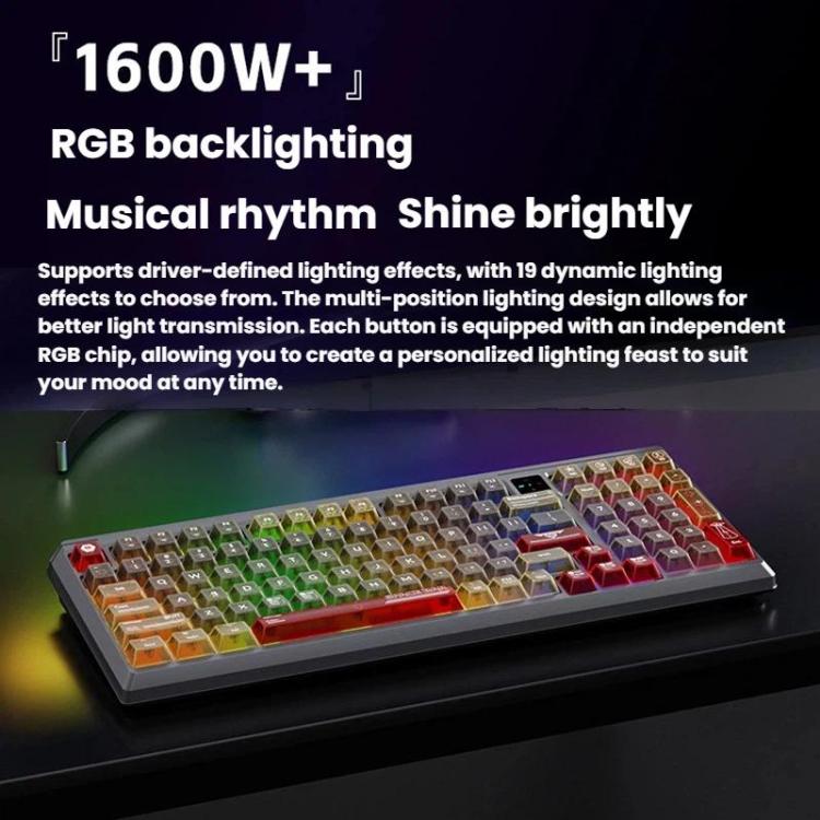 TBD06065454_B3.jpg@13e9a7035c3a18beb8365aea0731284c