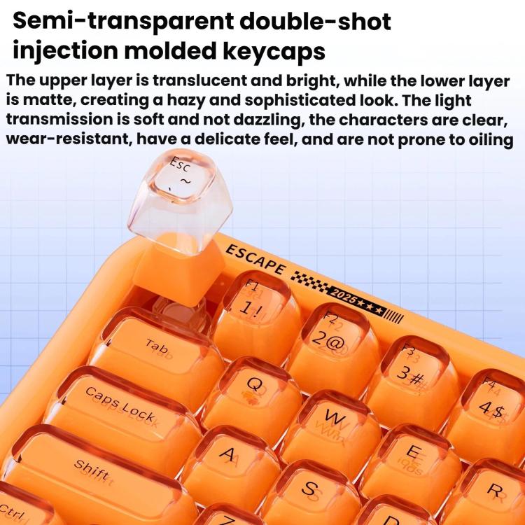 TBD06065629_B3.jpg@49e56e731a6324e6c0fbcc6e6cd2607e