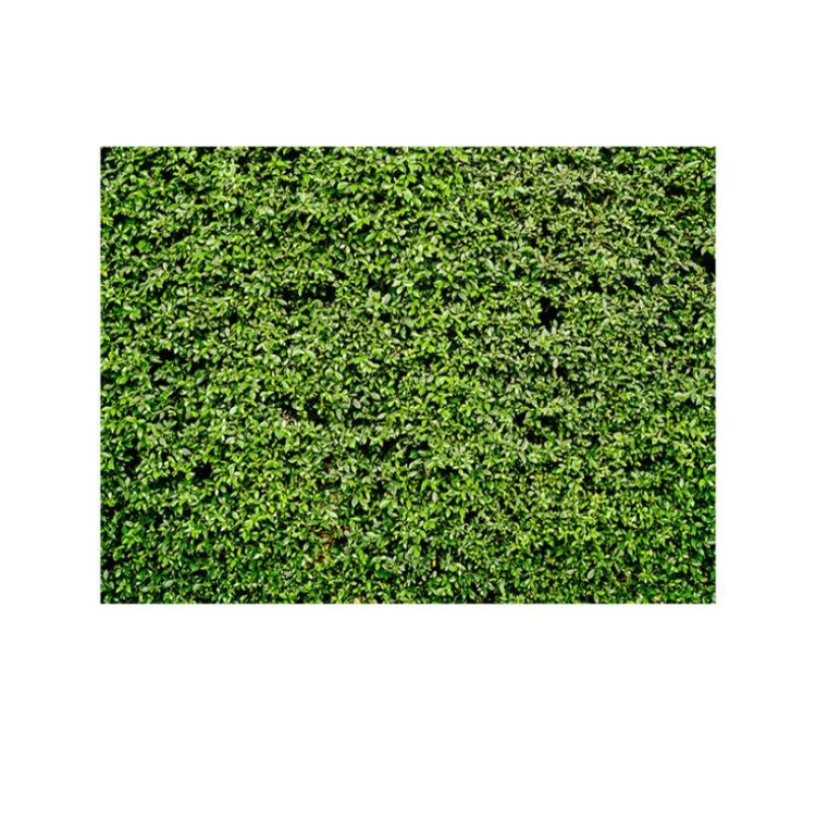 2.1m x 1.5m Green Leaves Wall Birthday party photography background cloth - Birthday Party by PMC TechLife | Online Shopping South Africa | PMC TechLife | Buy Now Pay Later Mobicred