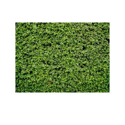 2.1m x 1.5m Green Leaves Wall Birthday party photography background cloth