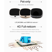 RF-V43 A Style IP67 Water-resistant GPS + LBS + WiFi Pet Locator Pet Collar Tracking Device For Asia/Europe/Africa/Australia(White)
