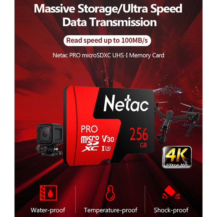Netac P500 PRO 256GB U3 Speed Level Automobile Data Recorder Monitor Camera Memory Card TF Card - free shipping - PMC Jewellery - Order now!