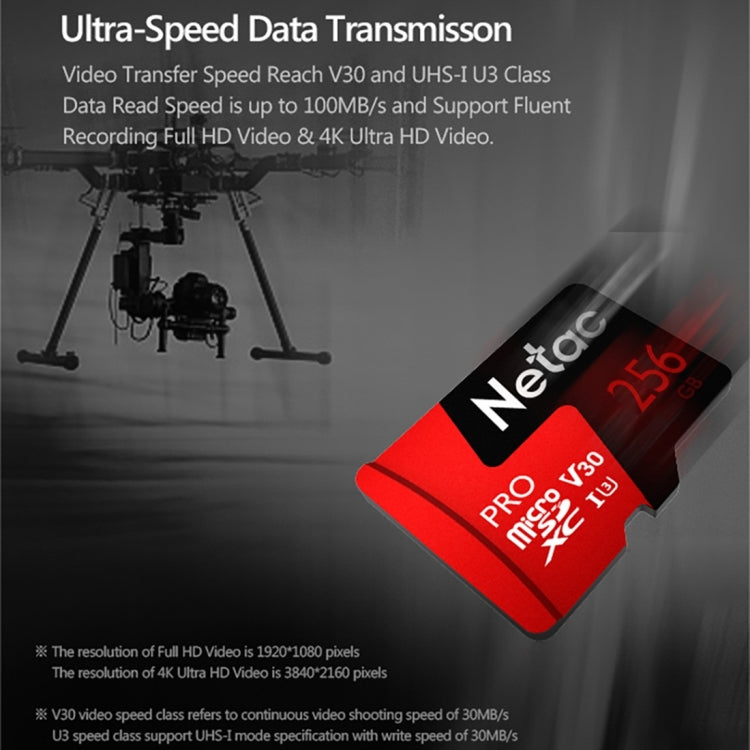 Netac P500 PRO 256GB U3 Speed Level Automobile Data Recorder Monitor Camera Memory Card TF Card - free shipping - PMC Jewellery - Order now!