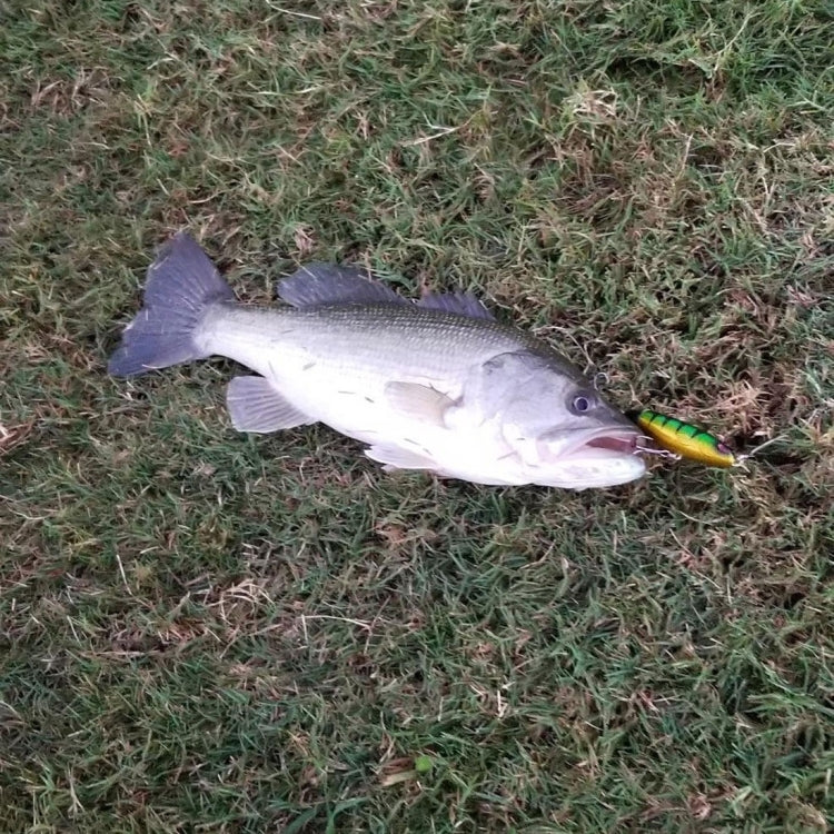 HENGJIA PE018 10cm/13g Propeller Tractor Shaped Hard Baits Fishing Lures Tackle Baits Fit Saltwater and Freshwater (4#) - Fishing Lures by HENGJIA | Online Shopping South Africa | PMC TechLife