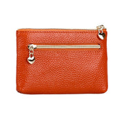 2013 Antimagnetic RFID Multifunctional Litchi Texture Women Large Capacity Hand Wallet with Card Slots (Brown)