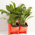 Plant Wall Vertical Indoor and Outdoor Balcony Wall-mounted Flower Pots Creative Combination of Resin Plastic Flower Pots with Removable Pot(Red) - free shipping - PMC TechLife - Order now!
