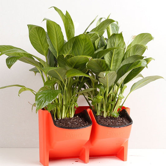 Plant Wall Vertical Indoor and Outdoor Balcony Wall-mounted Flower Pots Creative Combination of Resin Plastic Flower Pots with Removable Pot(Red) - free shipping - PMC Jewellery - Order now!