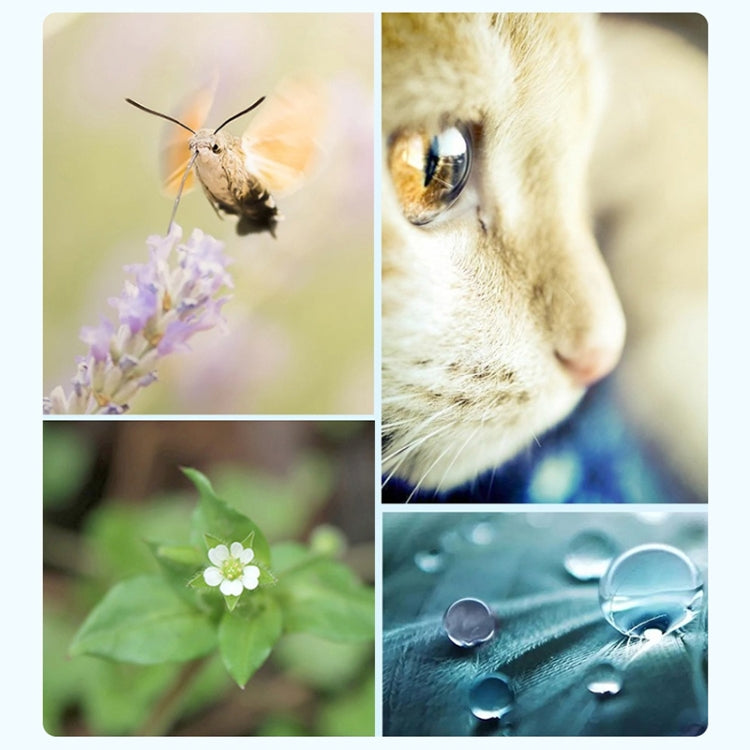 RUIGPRO for GoPro HERO 7/6 /5 Professional 52mm CPL Lens Filter with Filter Adapter Ring & Lens Cap - Lens Filter by RUIGPRO | Online Shopping South Africa | PMC TechLife | Buy Now Pay Later Mobicred