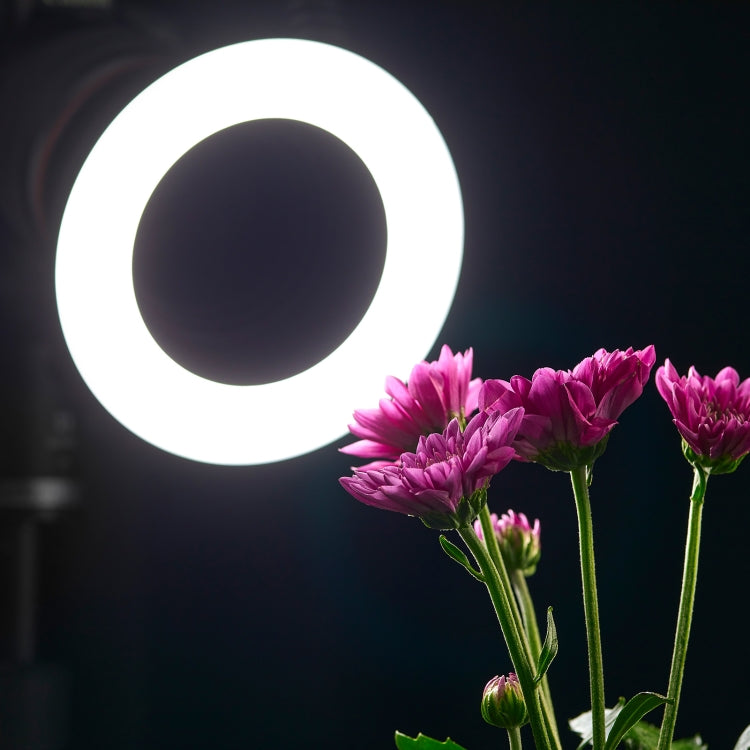 Godox Ring72 Macro Ring 48 LED Flash Light with 8 Different Size Adapter Rings(Black) - free shipping - PMC Jewellery - Order now!