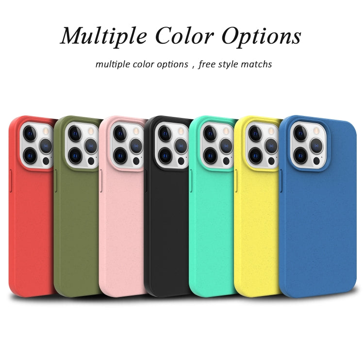 For iPhone 13 Pro Starry Series Shockproof Straw Material + TPU Protective Case (Black)