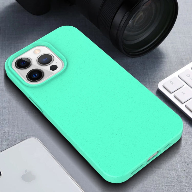 For iPhone 13 Pro Starry Series Shockproof Straw Material + TPU Protective Case (Black)